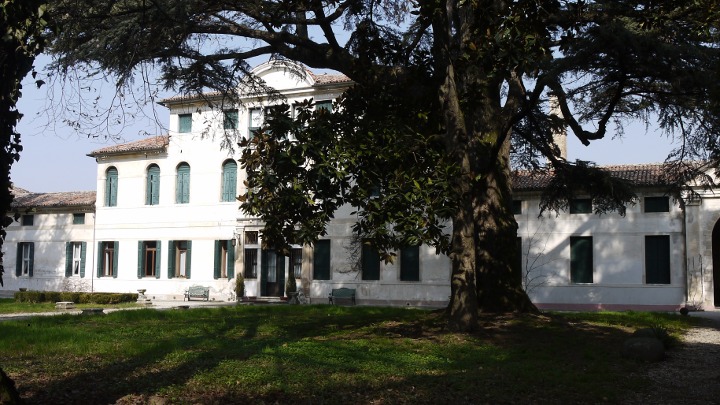Galleria immagini