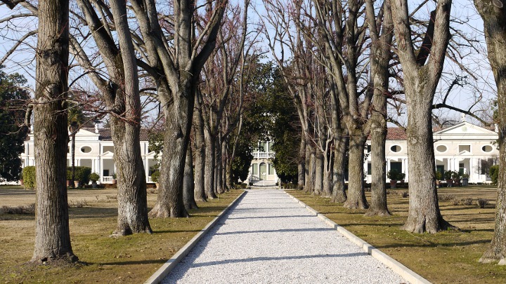 Galleria immagini